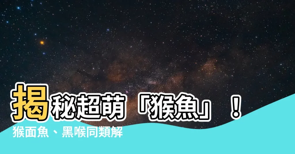 【猴魚】揭秘超萌「猴魚」！猴面魚、黑喉同類解密