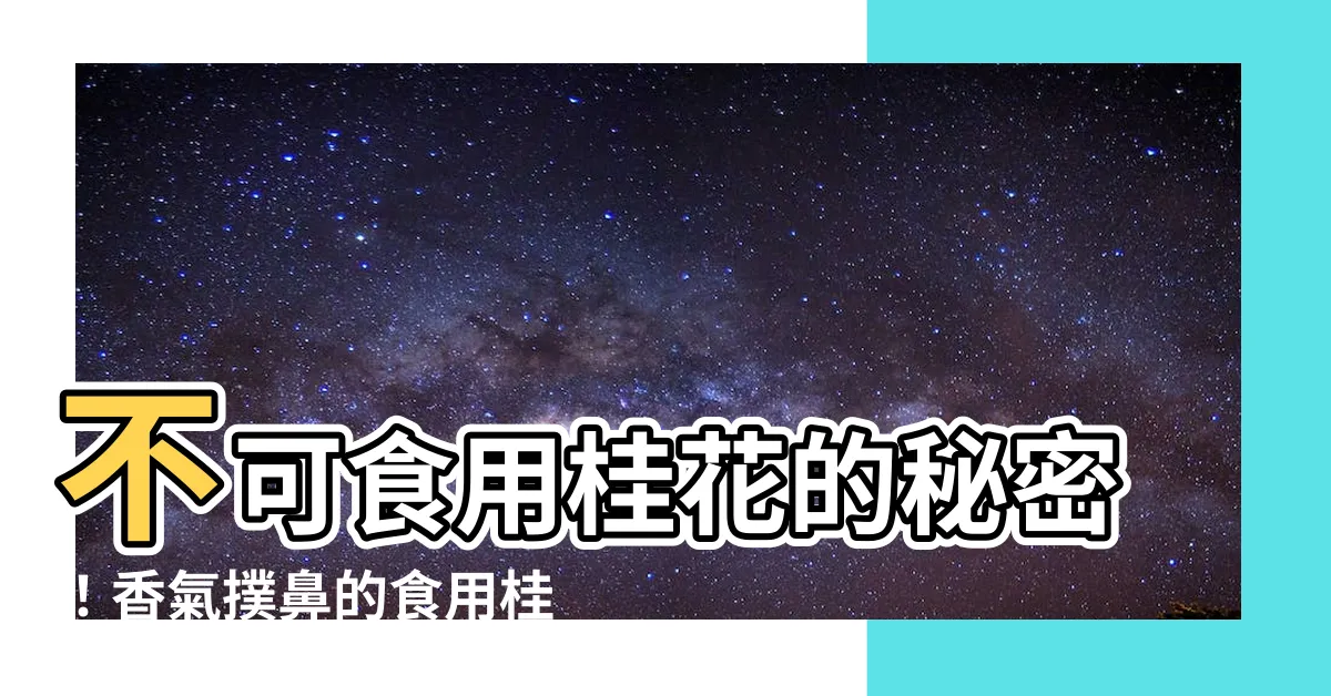 【食用桂花品種】不可食用桂花的秘密！香氣撲鼻的食用桂花品種大公開