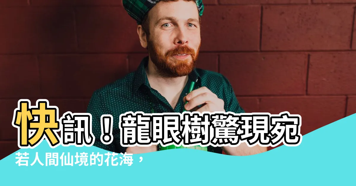 【龍眼 樹】快訊！龍眼樹驚現宛若人間仙境的花海，絕美畫面千載難逢