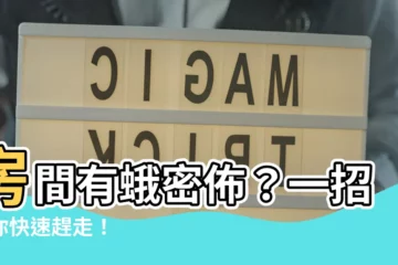 【房間有蛾】房間有蛾密佈？一招教你快速趕走！