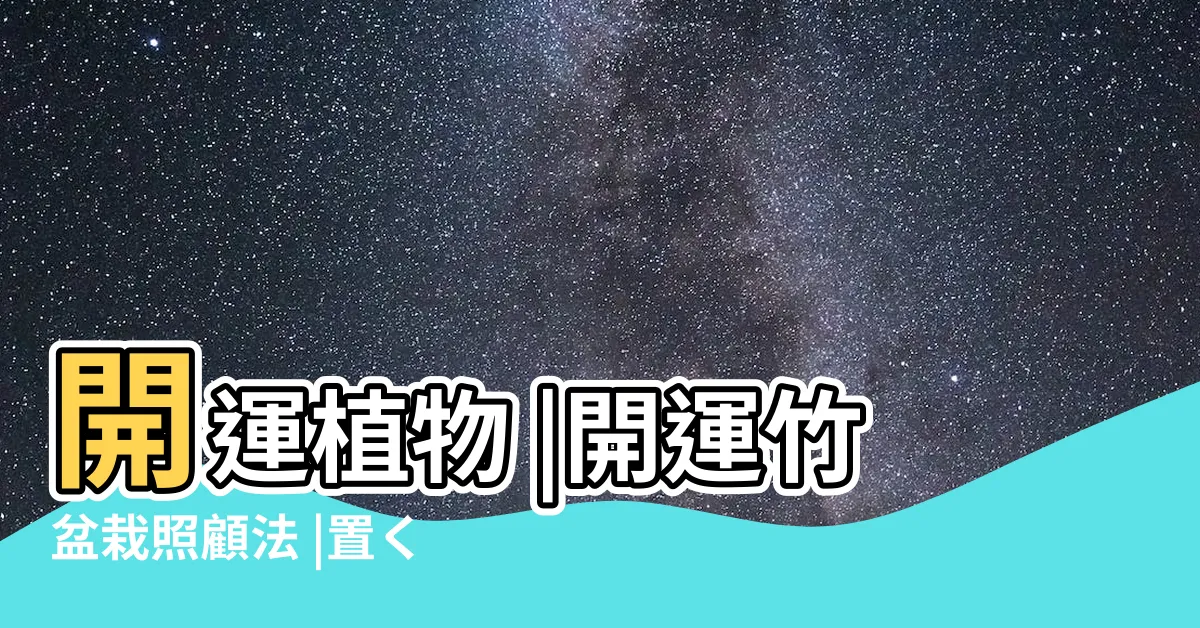 【幸運竹風水】開運植物 |開運竹盆栽照顧法 |置く方角 |