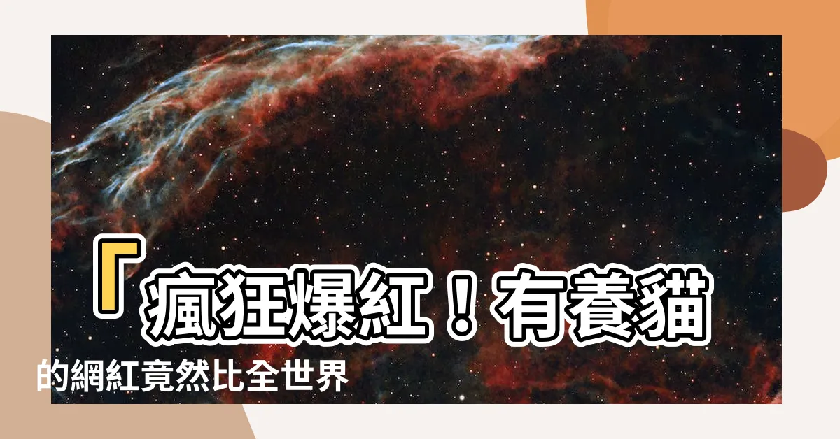 【有養貓的網紅】「瘋狂爆紅！有養貓的網紅竟然比全世界知名⋯寵物網紅還紅！」