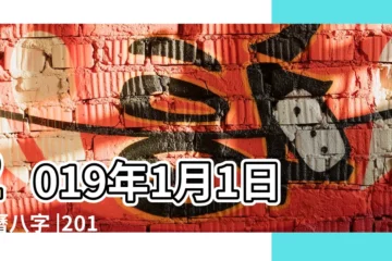 【2019年1月一號出生八字】2019年1月1日農曆八字 |2019年1月1日出生時間看命運 |是什麼命 |