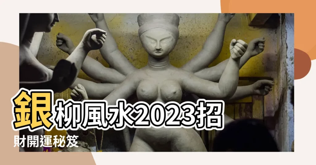 【銀柳風水2023】銀柳風水2023招財開運秘笈