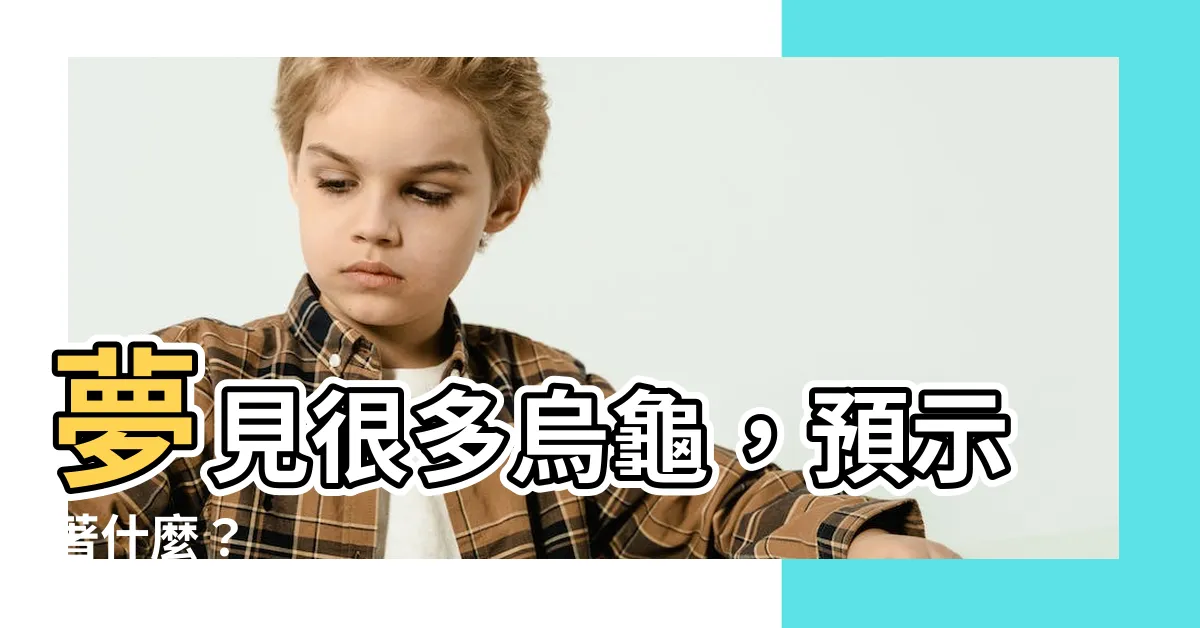 【夢見很多烏龜】夢見很多烏龜，預示著什麼？