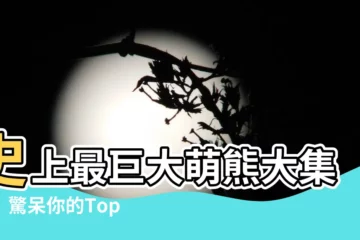 【毛絨玩具熊】史上最巨大萌熊大集合！驚呆你的Top 500毛絨玩具熊大軍