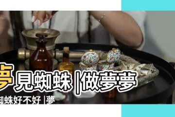 【夢見有人看見蜘蛛】夢見蜘蛛 |做夢夢見蜘蛛好不好 |夢見蜘蛛預示什麼 |