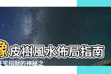 【橡皮樹 風水】橡皮樹風水佈局指南：旺宅招財的神秘之樹