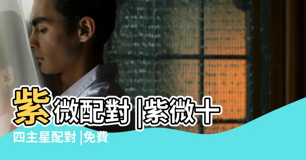 紫微配對 |紫微十四主星配對 |免費試算紫微戀愛合婚單元輸入頁 |【紫微鬥數 命盤配對】