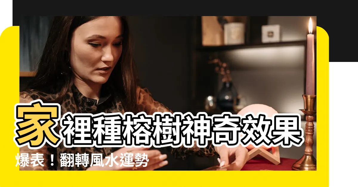 【家裡種榕樹】家裡種榕樹神奇效果爆表！翻轉風水運勢，財源滾滾人緣旺盛！