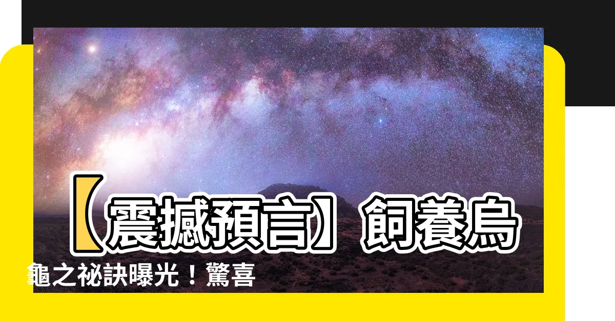 【飼養烏龜】【震撼預言】飼養烏龜之秘訣曝光！驚喜連連，成功率100%