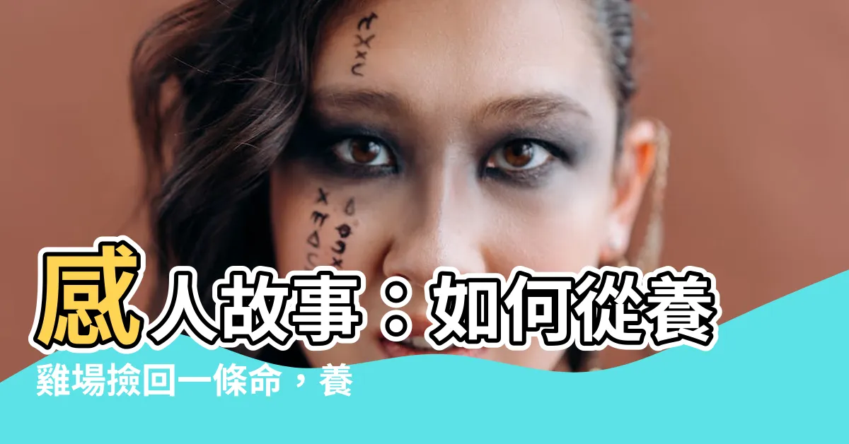 【養公雞】感人故事：如何從養雞場撿回一條命，養公雞成為寵物與寓教於樂