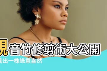 【觀音竹修剪】觀音竹修剪術大公開！養出一株綠意盎然的好竹