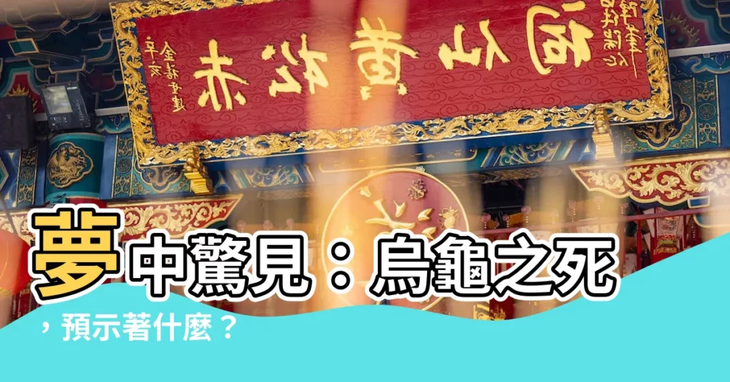 【夢見殺烏龜】夢中驚見：烏龜之死，預示著什麼？