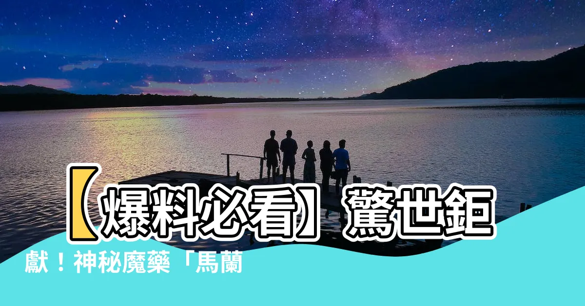 【馬蘭白龍度】【爆料必看】驚世鉅獻！神秘魔藥「馬蘭白龍度」解密！