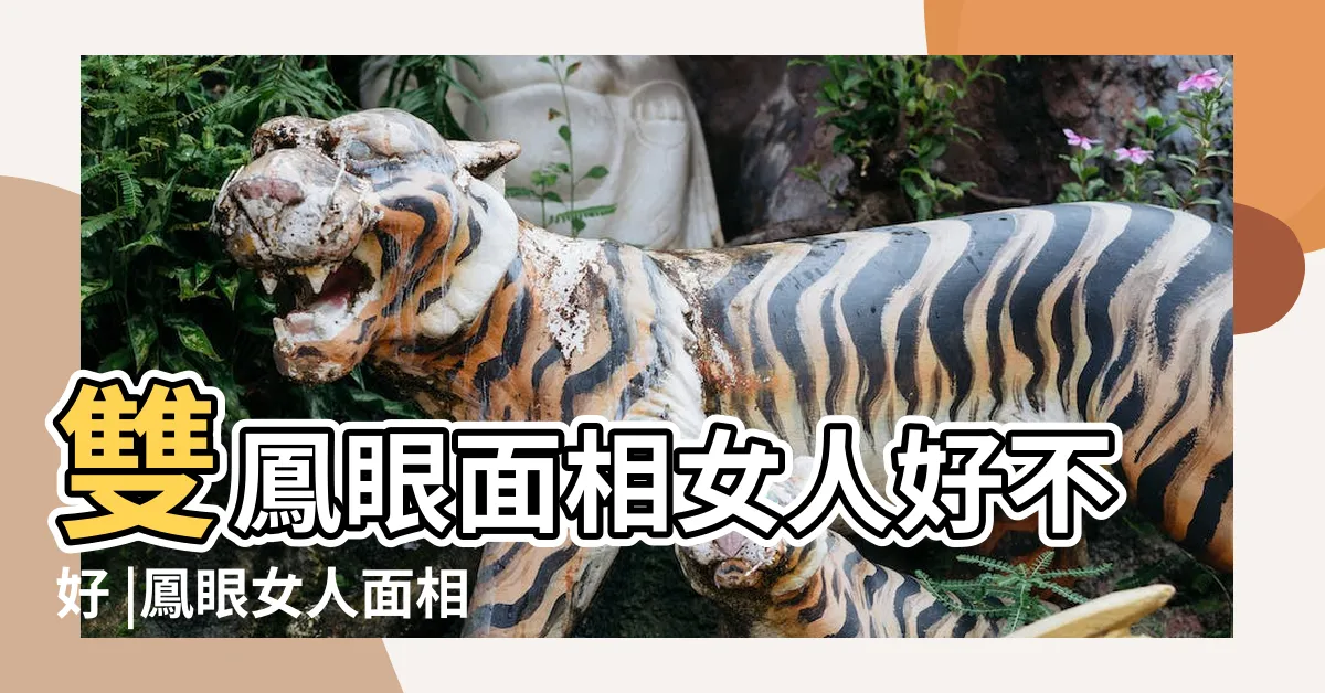 【鳳眼面相女】雙鳳眼面相女人好不好 |鳳眼女人面相分析 |6款桃花眼面相特徵 |