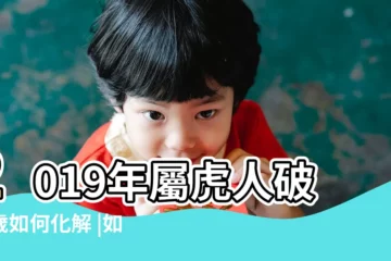 【屬虎人2019年如何化解破太歲】2019年屬虎人破太歲如何化解 |如何化解 |2019屬虎破太歲要如何化解 |