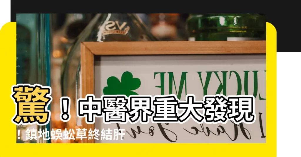 【鎮地蜈蚣】驚！中醫界重大發現！鎮地蜈蚣草終結肝包油