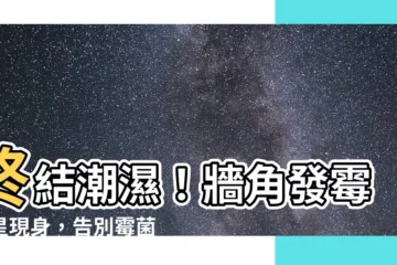 【牆角發黴】終結潮濕！牆角發黴剋星現身，告別黴菌困擾