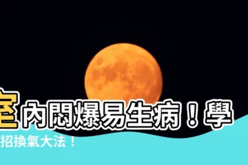 【如何讓室內空氣流通】室內悶爆易生病！學會4招換氣大法！