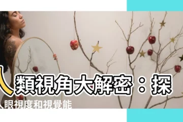 【人類視覺角度】人類視角大解密：探索人眼視度和視覺能力的奧秘