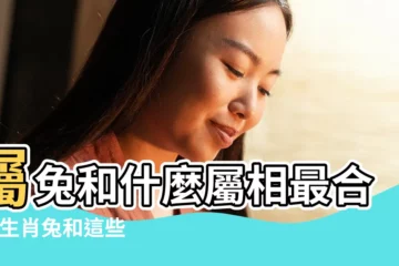 【屬兔和屬鼠搭檔合財嗎】屬兔和什麼屬相最合財 |生肖兔和這些人合作是利還是害 |屬鼠的和屬兔的合財嗎 |