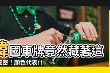 【韓國車牌顏色】韓國車牌竟然藏著這些秘密！顏色代表什麼你知道嗎？
