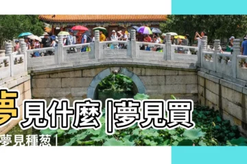 【周公解夢夢見土地葱】夢見什麼 |夢見買葱 |夢見種葱 |