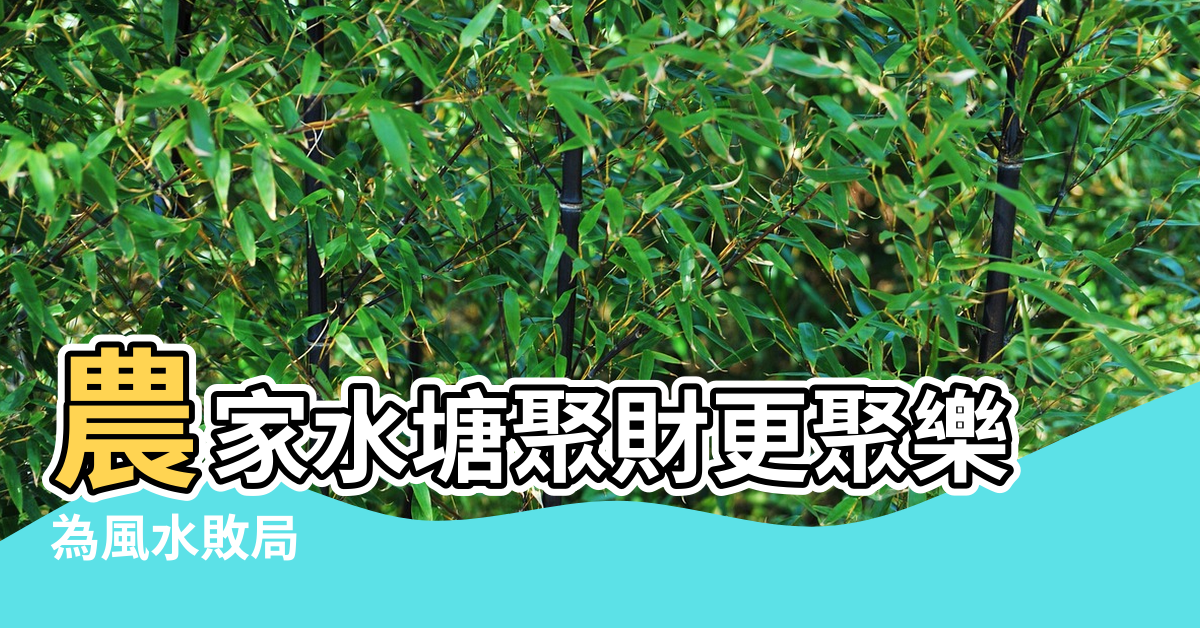 【水塘與建築風水】農家水塘聚財更聚樂 |為風水敗局 |房屋後面有水塘 |