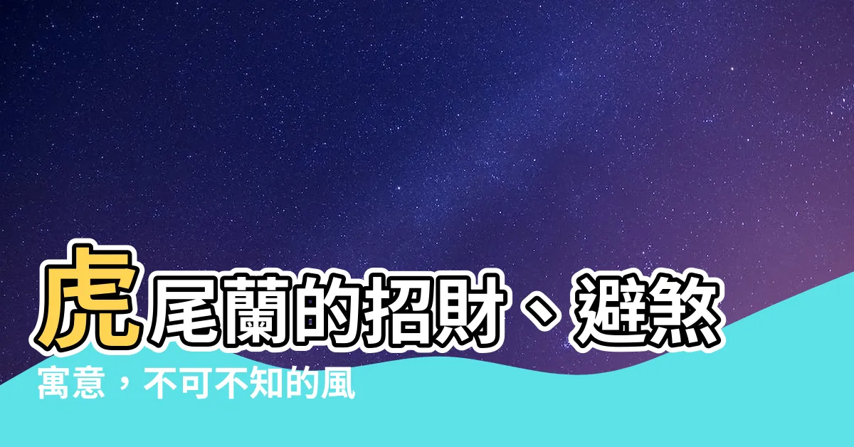【虎尾蘭寓意】虎尾蘭的招財、避煞寓意，不可不知的風水妙用