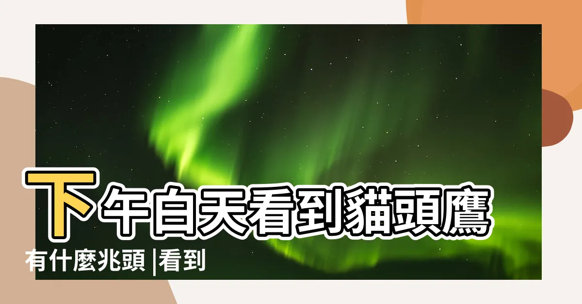 【白天看到貓頭鷹代表什麼】下午白天看到貓頭鷹有什麼兆頭 |看到貓頭鷹是好運嗎 |白天看到貓頭鷹什麼預兆 |