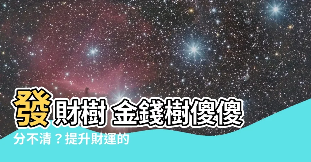 【發財樹 金錢樹】發財樹 金錢樹傻傻分不清？提升財運的事實大公開！
