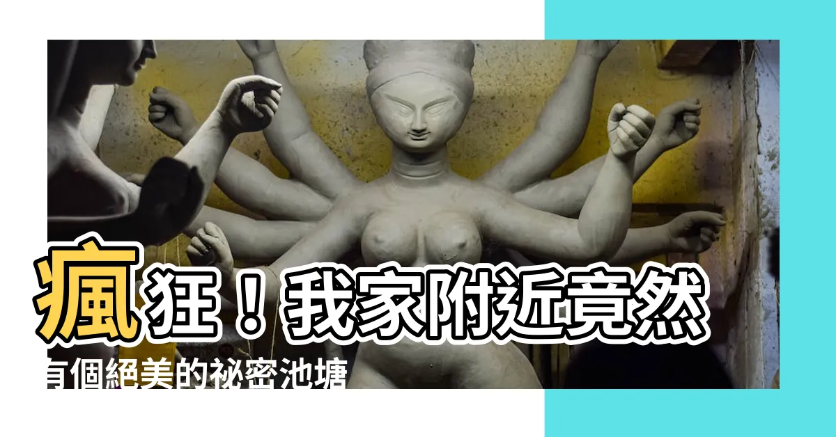 【附近池塘】瘋狂！我家附近竟然有個絕美的秘密池塘！你絕對無法想像！