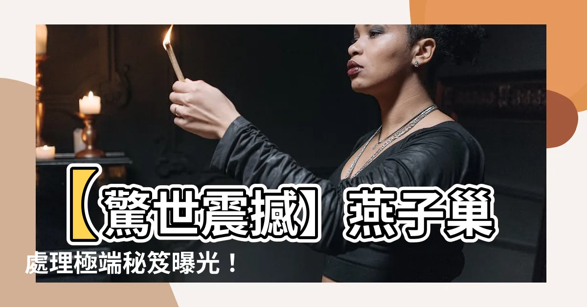 【燕子巢處理】【驚世震撼】燕子巢處理極端秘笈曝光！堅強屋主非凡招數驚世效果