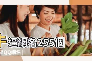 【牛逼的女生網名】牛逼網名255個 |牛逼QQ網名 |牛逼網名 |
