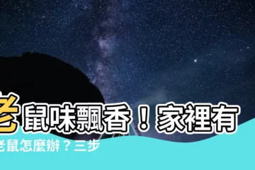【家裡有死老鼠怎麼辦】老鼠味飄香！家裡有死老鼠怎麼辦？三步驟搞定！