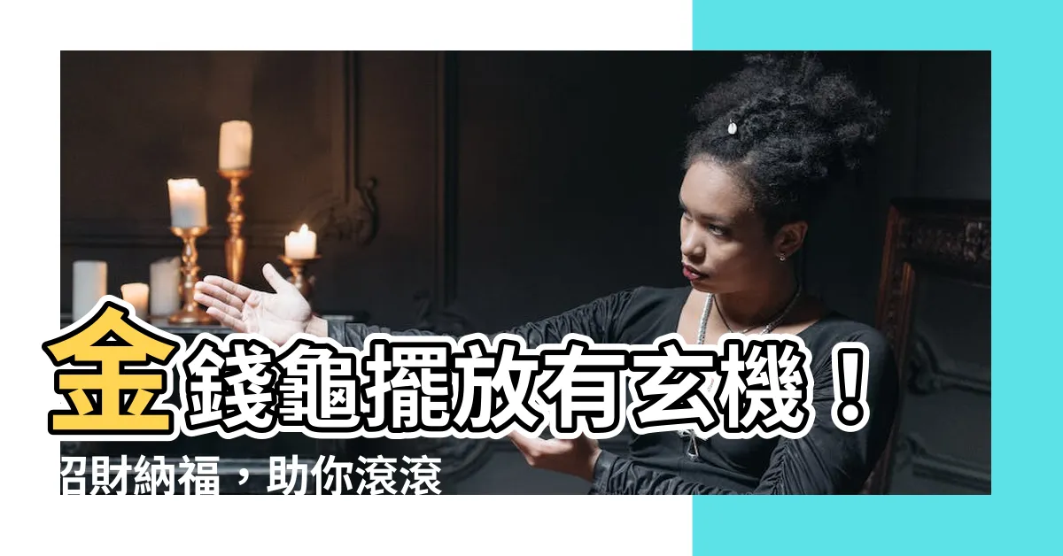 【金錢龜擺放】金錢龜擺放有玄機！招財納福，助你滾滾財源！