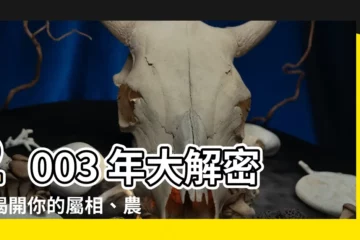 【2003 屬什麼】2003 年大解密：揭開你的屬相、農曆年號！