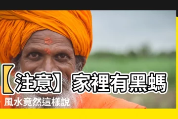 【家裡有黑螞蟻風水】【注意】家裡有黑螞蟻，風水竟然這樣説！