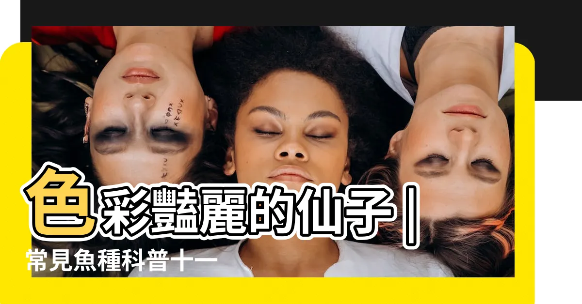【神仙魚品種】色彩豔麗的仙子 |常見魚種科普十一 |神仙魚詳細分類介紹 |