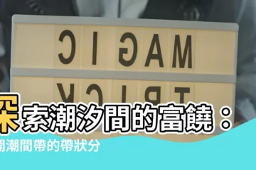 【潮間帶的帶狀分佈可以分成幾層】探索潮汐間的富饒：揭開潮間帶的帶狀分佈之謎