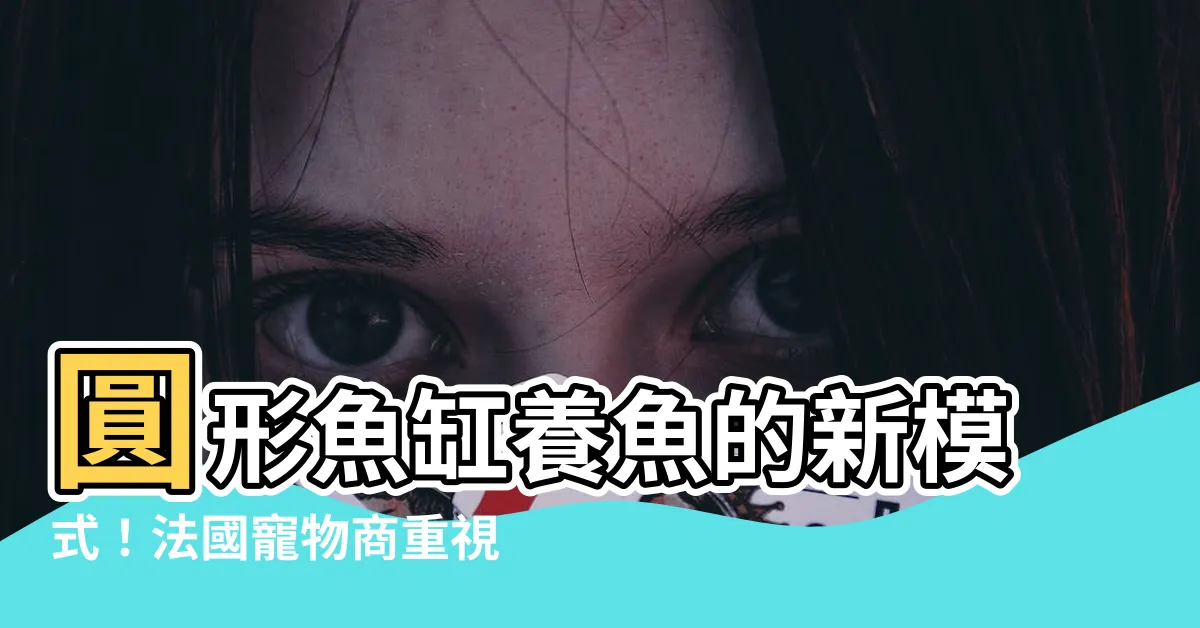 【圓形魚缸養魚】圓形魚缸養魚的新模式！法國寵物商重視金魚生命，特別設計