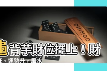 【龜背芋 財位】龜背芋財位擺上！財運旺、運勢升，風水秘訣一次告訴你