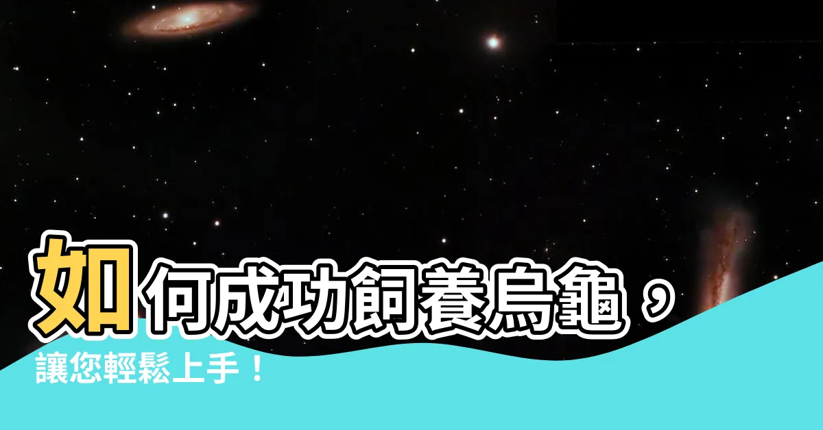 【如何飼養烏龜】如何成功飼養烏龜，讓您輕鬆上手！