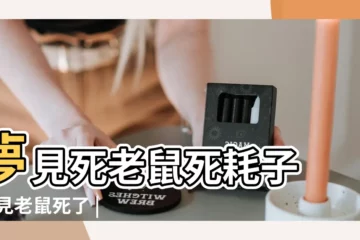 【周公解夢夢見給死去的老鼠洗褲頭】夢見死老鼠死耗子 |夢見老鼠死了 |