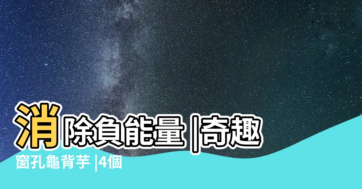 【洞洞龜背芋風水】消除負能量 |奇趣窗孔龜背芋 |4個位置 |