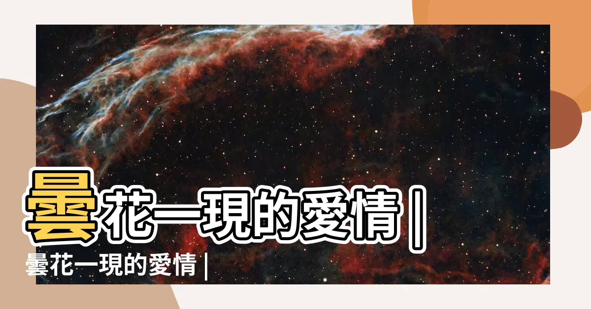 【曇花一現的愛情】曇花一現的愛情 |曇花一現的愛情 |做第三者 |