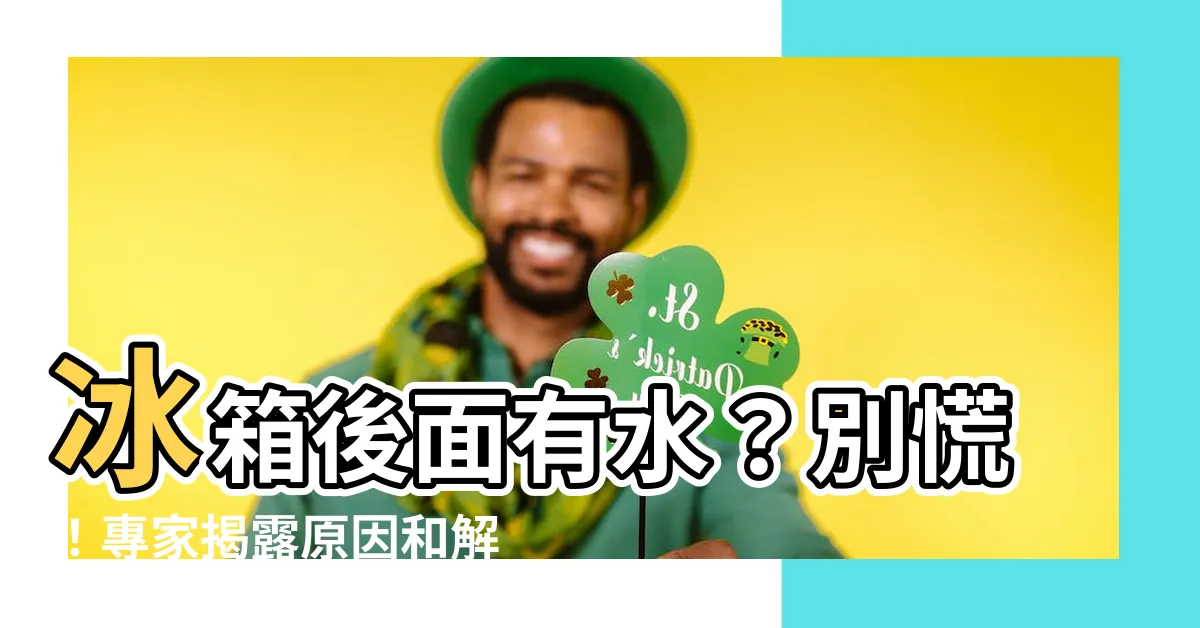 【冰箱後面有水】冰箱後面有水？別慌！專家揭露原因和解決方法