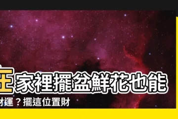 【家裡擺鮮花】在家裡擺盆鮮花也能招財運？擺這位置財運滾滾來