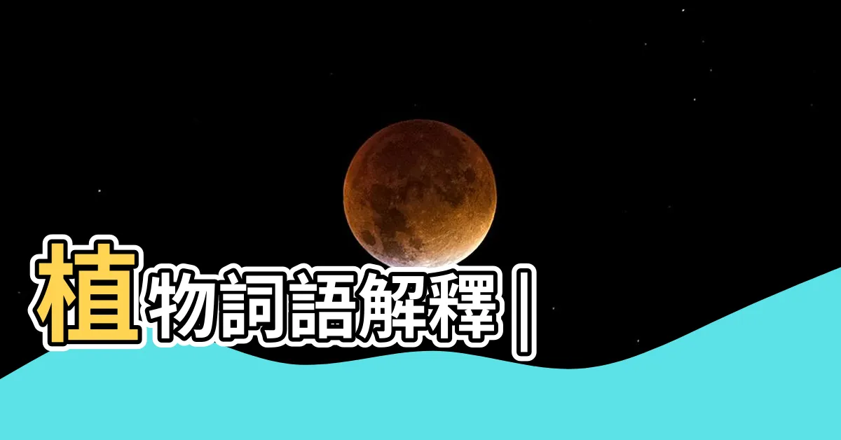 【植物意思】植物詞語解釋 |